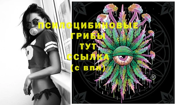 ГАЛЛЮЦИНОГЕННЫЕ ГРИБЫ Дмитровск