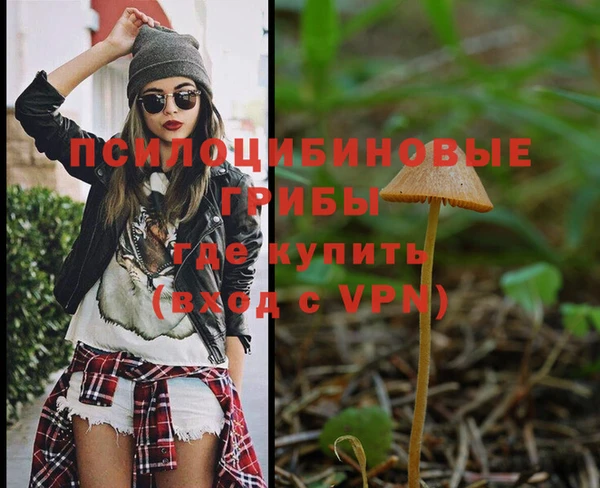 дурь Дмитров