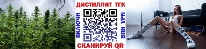 ТГК THC oil  Купить  Сосновка 